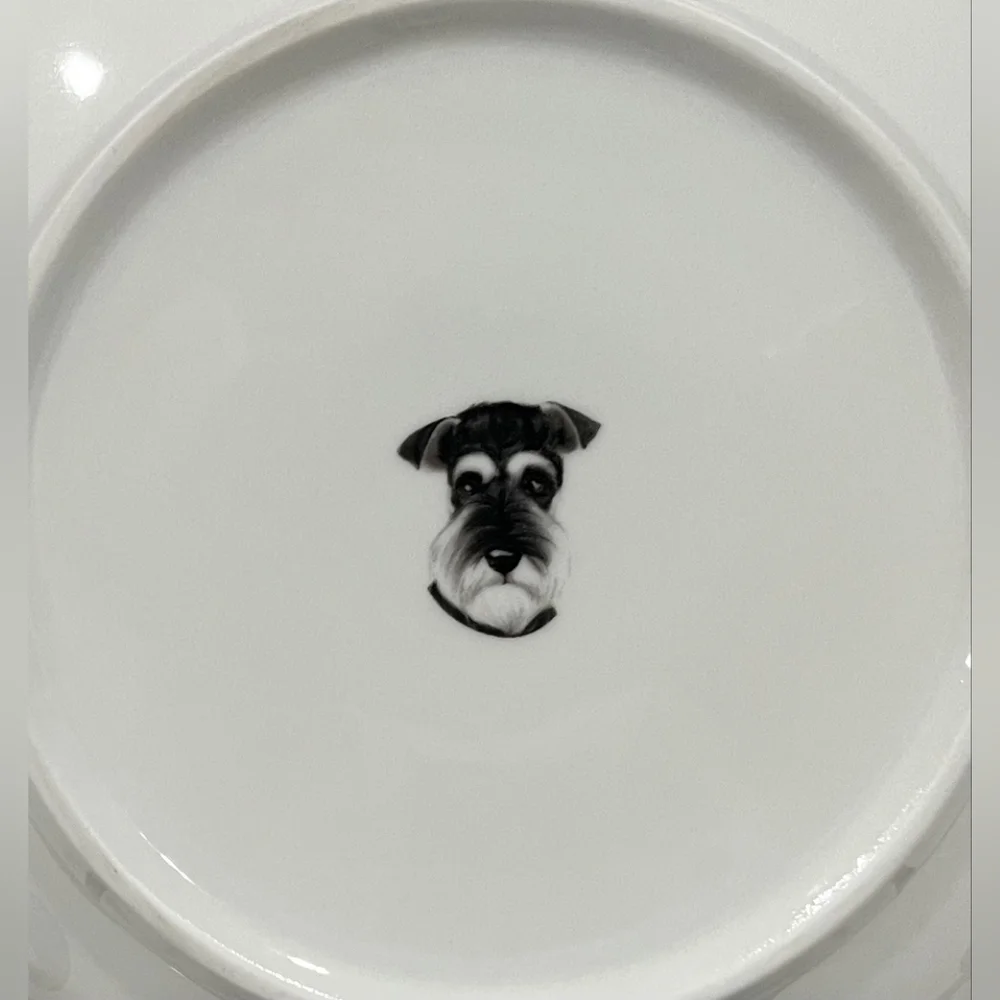 Petorama‎ 8
